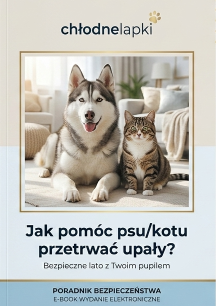 E-book Jak pomóc psu/kotu przetrwać upały?